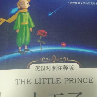 THE   LITTLE   PRINCE