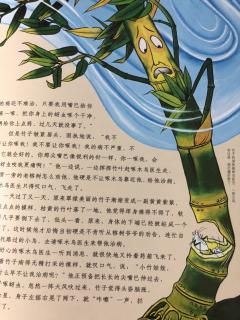 中国童话故事《生病不看医生的竹子》