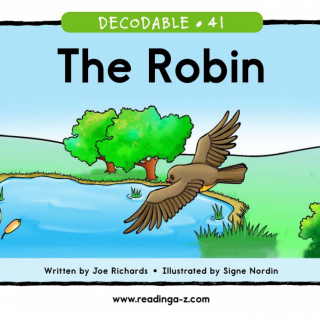 The Robin