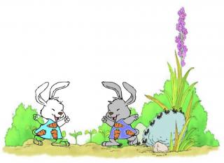 小白兔和小灰兔