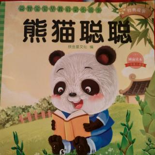 熊猫聪聪