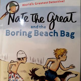 Nate the great Boring beach bag2
