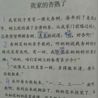 课文朗读《我家的杏熟了》