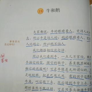 赵梓宇《牛和鹅》