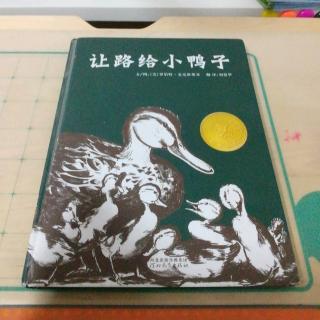 第428天《让路给小鸭子🐤》