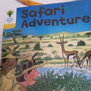 safari adventure2