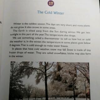 The cold winter