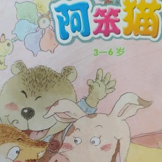 《阿笨猫》