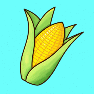 玉米画
