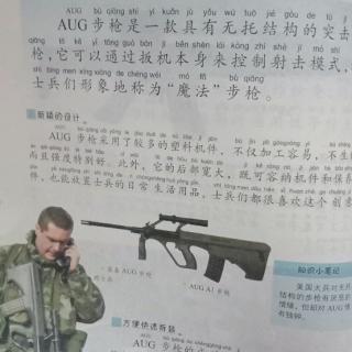 百大超级武器20-AUG步枪