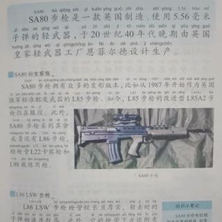 百大超级武器21-娇贵公子sa80步枪