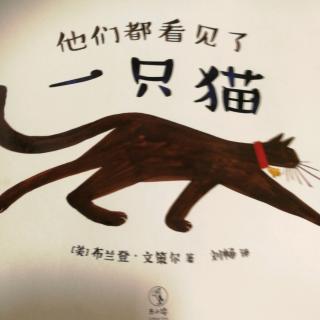 他们都看见了一只猫