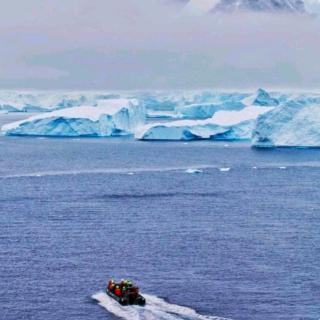 周四【旅行日记】——我的南极梦2（来自FM160688981)