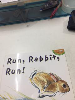 Run，Rabbit，Run！
