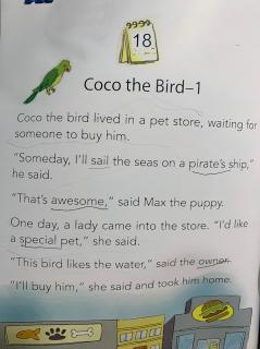 Coco the bird-1  11.21