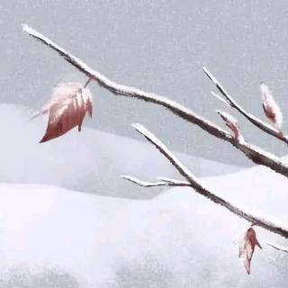 二十四节气之小雪