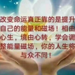 面子是给狗吃的(一)~任正非