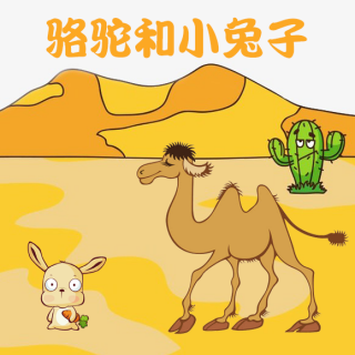 【睡前故事】骆驼和小兔子