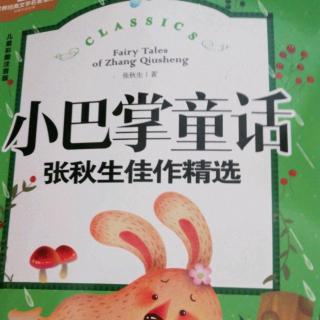 会说话的卷心菜扛拖把的小刺猬