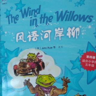 The wind in the willows  excellent