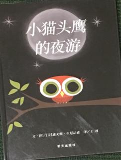 小猫头鹰的夜游