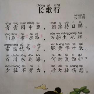 背诵《长歌行》