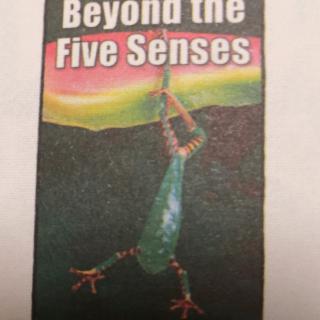 Beyond the Five Senses