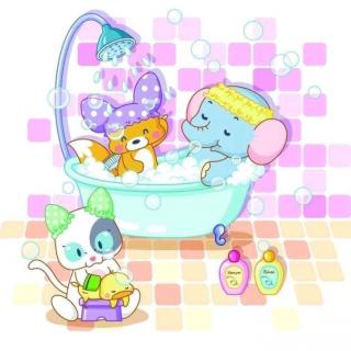 小动物洗澡