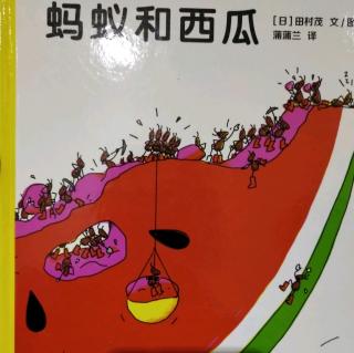 县幼中8班余未然《蚂蚁和西瓜🍉》