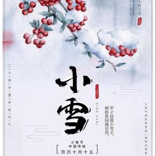 #年度事件#小雪到，冬始俏（时光记忆）