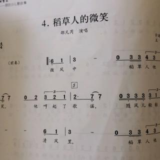 稻草人的微笑作业