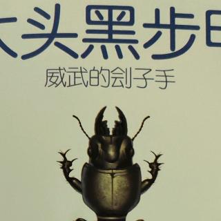 《法布尔昆虫记》之大头黑步甲