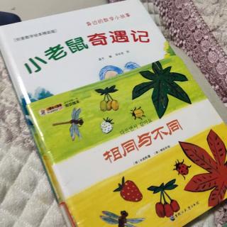 小老鼠奇遇记＋相同与不同