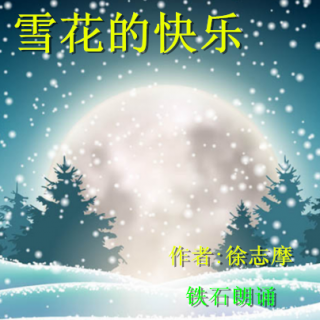 《雪花的快乐》作者:徐志摩 ；铁石朗诵