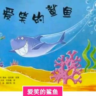 【迪宝教育】睡前故事:爱笑的鲨鱼