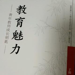 《教育魅力》8.国内外教师教育魅力综述