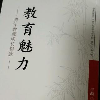 《教育魅力》9.国内外教师教育魅力综述