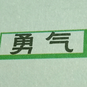 《 名人名言》:关于勇敢的名人名言