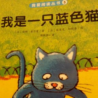 5，我是一只蓝色猫