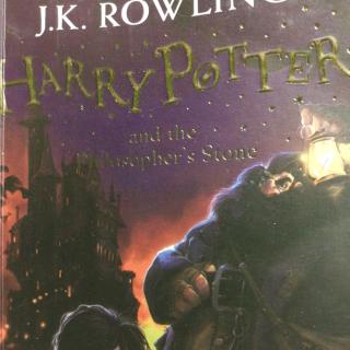Harry Potter 1-1