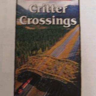 Critter Crossings