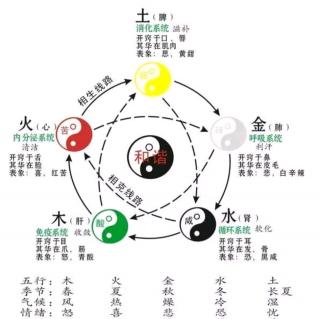 【五行（金木水火土）与食疗】第二集