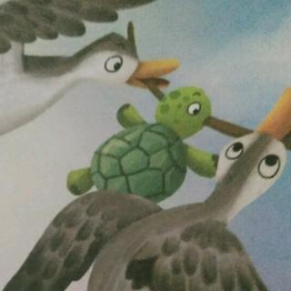 想飞的乌龟