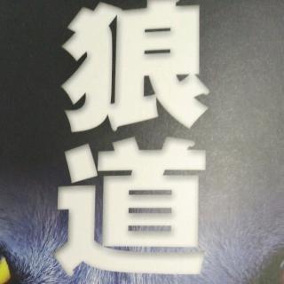 《狼道》第一章～狼只制订最可行的计划