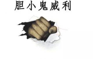 赛锐思睡前故事《胆小鬼威利》