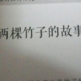 两棵竹子的故事