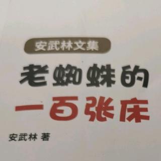 安武林文集老蜘蛛的100张床，哦，宝贝，宝贝