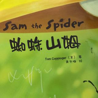 sam the spider