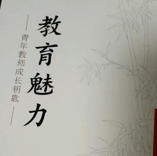 《教育魅力》10.国内外教师教育魅力文献综述