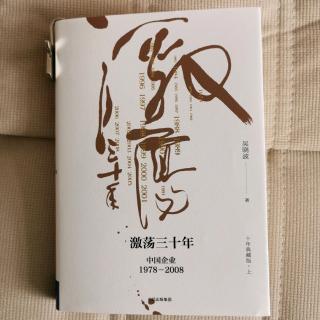 《激荡三十年》吴晓波“1981笼子与鸟，企业历史人物-难忘'任项'”